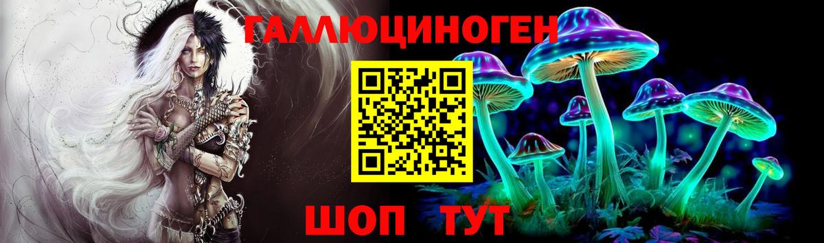Псилоцибиновые грибы Cubensis  Галлюциногенные грибы GOLDEN TEACHER  где продают наркотики  Аргун  Вход с VPN 