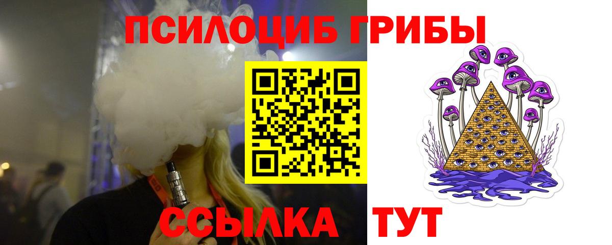 Галлюциногенные грибы Psilocybine cubensis Аргун